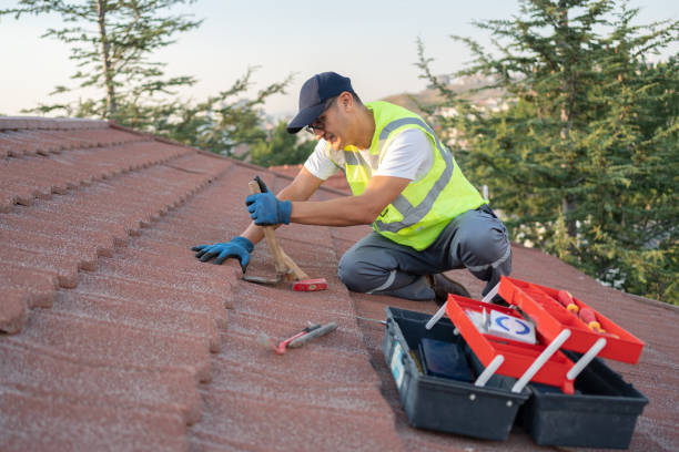 Roof Gutter Cleaning in Pion Hills, CA